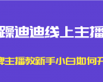 暴躁迪迪线上主播课,金牌主播教新手小白如何开播-润泽资源库
