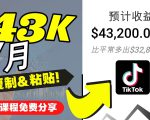 2022抖音国际版Tiktok赚钱项目：每天上传一个视频就轻松月入$43200-润泽资源库