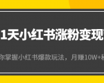 21天小红书涨粉变现营(第4期):带你掌握小红书爆款玩法,月赚10W+秘密-润泽资源库