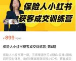 保险人小红书获客成交训练营，0基础高效玩转小红书，可复制的获客成交之路-润泽资源库