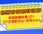 21天视频号变现特训营:单视频播放量2亿+3个月涨粉30w+变现20w+(第14期)-润泽资源库