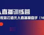 无人直播训练营：手把手教您打造无人直播操盘手（16节课时）-润泽资源库