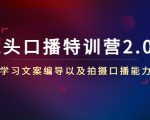 镜头口播特训营2.0版，学习文案编导以及拍摄口播能力（50节课时）-润泽资源库