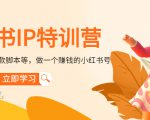 小红书IP特训营:从搭建-制作-爆款脚本等等,做一个赚钱的小红书号-润泽资源库
