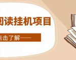 全自动阅读挂机项目，号称单窗10r，全套脚本+教程，小白上手简单-润泽资源库