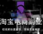 蓝Sir派·淘宝短视频快速起店,替代传统搜索方式,学会做一个不一样的淘宝店-润泽资源库