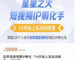 瑶瑶·自然流短视频IP孵化第二期，14天线上实战训练营，赋能100个人成为有数据能赚钱的独立IP孵化手-润泽资源库