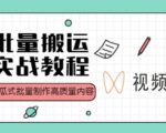 视频号批量搬运实战操作运营赚钱教程,傻瓜式批量制作高质量内容【附视频教程+PPT】-润泽资源库
