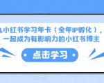 厦九九小红书学习年卡(全年IP孵化),沉浸式学习,一起成为有影响力的小红书博主-润泽资源库