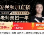 张越·短视频+直播，自然流三频共振起号实操课，​短视频所有流量玩法讲解-润泽资源库