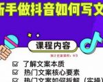 新手做抖音如何写文案,手把手实操如何拆解热门文案-润泽资源库