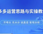 拼多多店铺运营思路与实操教程,快速学会拼多多开店和运营,少踩坑,多盈利-润泽资源库