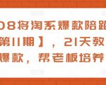 108将淘系爆款陪跑营【第11期】,21天教运营打爆款,帮老板培养运营-润泽资源库