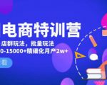 美团电商特训营:美团·店群玩法,无脑铺货月产出6000-15000+精细化月产2w+-润泽资源库