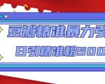 豆瓣精准暴力引流，日引精准粉500+【12课时】-润泽资源库