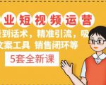 5套·美业短视频运营课从场景到话术·精准引流·吸金文案工具·销售闭环等-润泽资源库