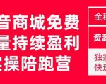 抖音商城搜索持续盈利陪跑成长营，抖音商城搜索从0-1、从1到10的全面解决方案-润泽资源库