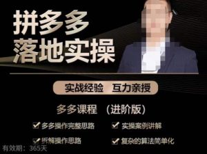 拼多多实战篇·落地实操：多多操作完整思路+实操案例讲解+拆解操作思路+复杂的算法简单化-润泽资源库