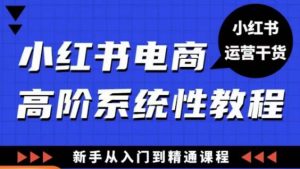 小红书电商高阶系统教程，新手从入门到精通系统课-润泽资源库