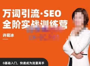 许茹冰·万词引流-SEO全阶实战训练营,0基础入门,快速成为流量高手-润泽资源库