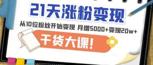 21天精准涨粉变现干货大课：从10位粉丝开始变现月增5000+变现20w+-润泽资源库