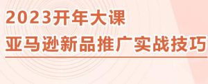 2023亚马逊新品推广实战技巧，线下百万美金课程的精简版，简单粗暴可复制，实操性强的推广手段-润泽资源库