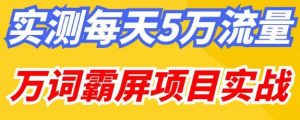 百度万词霸屏实操项目引流课，30天霸屏10万关键词-润泽资源库