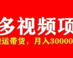 多多带货视频快速50爆款拿带货资格，搬运带货，月入30000【全套脚本+详细玩法】-润泽资源库