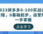 2023拼多多0-100实战运营教程,0基础起步,运营知识一手掌握-润泽资源库