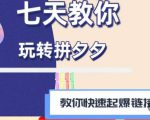 拼多多快速起爆链接思路1.0课程，七天教你玩转拼夕夕，教你快速起爆链接-润泽资源库