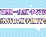 一写就爆-小红书文案课:带你玩转小红收爆文写作(45节课)-润泽资源库