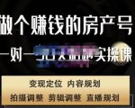 刘广标·同城房产号线上陪跑课，拍摄、剪辑、写文案、直播，做一个具有潜力价值的房产号-润泽资源库