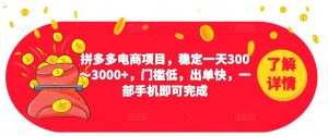 2023拼多多电商项目,稳定一天300~3000+,门槛低,出单快,一部手机即可完成-润泽资源库