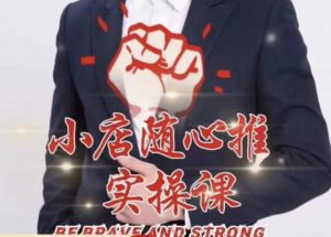 随心推线上课，小店随心推的投放逻辑，投放技巧，快速打标签-润泽资源库