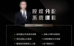 韩老师聊美业-美业股权分配系统课程，如何制定约束股东规则+老板占100%的股份+单店老板占小股份等-润泽资源库