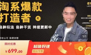 锋投老叶全店动销，淘系干货汇总，各种玩法，淘系爆款打造者-润泽资源库