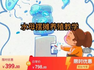 水母摆摊教学，包括摆摊技术、养殖技术、拿货渠道、抖音运营等-润泽资源库