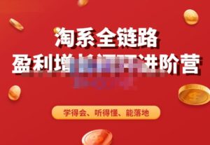 淘系全链路盈利增长闭环进阶营,融合全店动销,学得会、听得懂、能落地!-润泽资源库