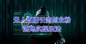 外面收费3980的无人直播引流创业粉落地实操玩法,单日引100+精准创业粉-润泽资源库