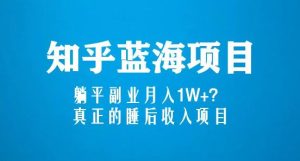知乎蓝海玩法，躺平副业月入1W+，真正的睡后收入项目（6节视频课）-润泽资源库
