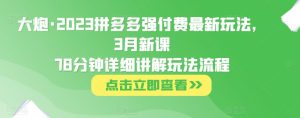 大炮·2023拼多多强付费最新玩法，3月新课​78分钟详细讲解玩法流程-润泽资源库