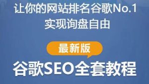 谷歌SEO实战教程:如何让你的网站在谷歌排名第一,内容从入门到高阶,适合个人及团队-润泽资源库