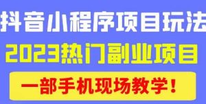抖音小程序9.0新技巧,2023热门副业项目,动动手指轻松变现-润泽资源库