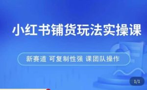 小红书铺货玩法实操课，流量大，竞争小，非常好做，新赛道，可复制性强，可团队操作-润泽资源库