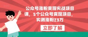 公众号涨粉变现实战项目课,5个公众号变现项目,实测涨粉23万-润泽资源库