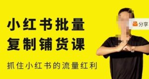 张宾·小红书批量复制铺货课,小红书0-1快速起号变现玩法,抓住小红书的流量红利(更新2023年3月)-润泽资源库