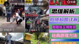 东方糖糖妹抖音短视频全套实战课思维+拍摄+剪辑+运营，从入门到精通-润泽资源库