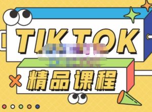 电商孵化中心·TikTok精品课程，教你玩转海外抖音，低成本创业，带您从0开始玩转TikTok-润泽资源库