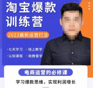 爱上黄昏·淘宝爆款训练营，2023最新运营打法，学习爆款思维，实现利润增长-润泽资源库