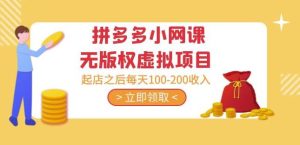 黄岛主·拼多多小网课无版权虚拟项目分享课：起店之后每天100-200收入-润泽资源库